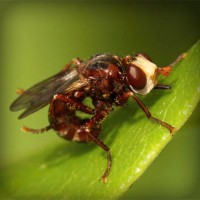 /album/ziervacius/photolia-a06-jpg/